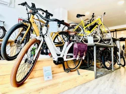 Vélos d'occasion à Nantes